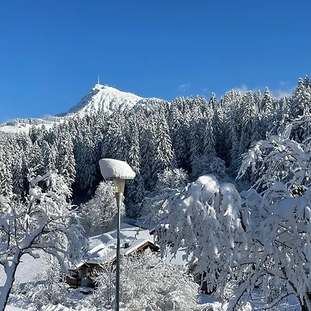 Seebichlhof By Alpine Host Helpers * كيتزبوهيل